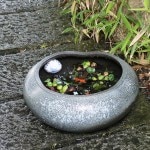 13����ȩ��ȭ�����ھơ����ȭ�������ȭ�ˤ����ᡡƫ������ȭ���������ȭ����su-0179��