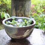 10���ĥϥ��ܿ�ȭ�����ھơ����ȭ�������ȭ�ˤ������su-0159��