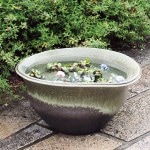 25���ƫ��Ҥͤ��ȭ�����ھơ����ȭ�������ȭ�ˤ����ᡡ���祵�������������ȭ����su-0080��