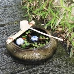 ���ھƤ�����ȩ�Ĥ��Ф�(�ݡ������դ�)�����ȭ�������ĥ��Х���ȭ����tu-0006��