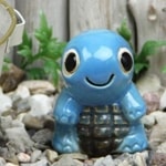 ߥ˵(Ŀ) ھƤ֤ʪok-0074