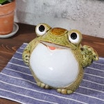 ���ھơ�ʡ������(���ˡ��ﵯʪ�����롡����ƫ�狼���롡��������ʪ����ka-0059��