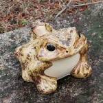 信楽焼　10号蛙　縁起物のカエル しがらき　かえる　［ka-0005］|かえる