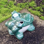 ���ھơ�10���ĳ����ﵯʪ�Υ����롡ƫ�狼���롡�����餭�Ƥ� ��ka-0053��