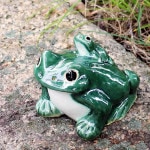 ���ھơ�5���ĳ����ﵯʪ�Υ����롡ƫ�狼���롡�����餭�Ƥ���ka-0051��