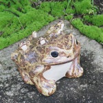 ���ھơ�8���ɤ���դ������ﵯʪ�Υ����롡ƫ�狼���롡�����餭�Ƥ� ��ka-0049��