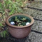 13�澾�饹�����ȭ�����ھơ����ȭ�������ȭ�ˤ����ᡡƫ������ȭ����ȭ����su-0201��