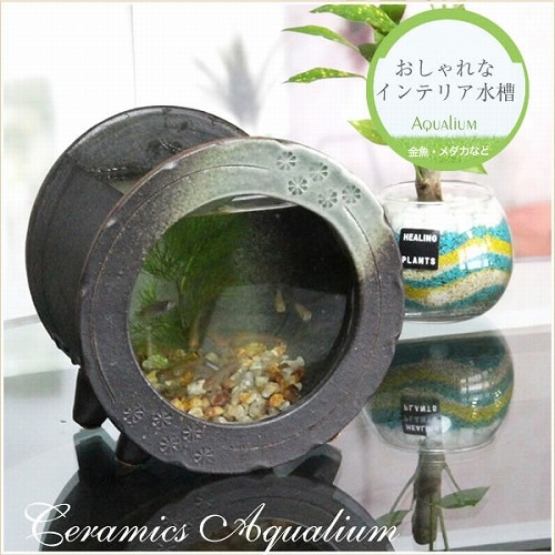 信楽焼 すいれん鉢 ミニサイズ 陶器水槽 信楽焼の丸型水槽（茶）［su