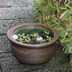 15�澾�饹�����ȭ�����ھơ����ȭ�������ȭ�ˤ����ᡡƫ������ȭ����ȭ����su-0234��