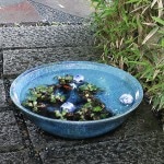 20���ĥӡ��ɥ����������ȭ�����������ھơ����ȭ�������ȭ�ˤ����ᡡƫ������ȭ����ȭ����su-0233��