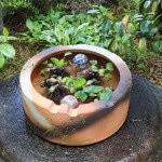 �п���Ω��ȭ�����ھơ����ȭ�������ȭ�ˤ����ᡡƫ������ȭ���������ȭ����su-0236��