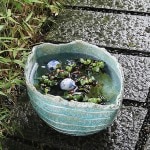 �����ѷ���ȭ�����ھơ����ȭ�������ȭ�ˤ����ᡡƫ������ȭ���������ȭ����su-0235��