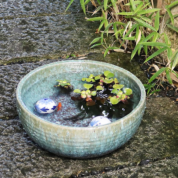 信楽焼 すいれん鉢 緑風水鉢 信楽焼 金魚鉢、メダカ鉢にお勧め 陶器