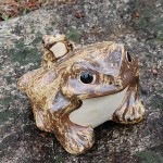 ���ھơ�8�泿���ﵯʪ�Υ����� �����餭�������롡��ka-0066��