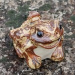 ���ھơ�3�泿�����������롡�ﵯʪ�Υ����� �����餭�������롡��ka-0067��