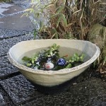 ��Ҥͤ꾮Ƚ����ȭ�����ھơ����ȭ�������ȭ�ˤ����� ��ϡȭ �������ȭ ��su-0241��