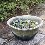 20���Ҥͤ��ȭ�����ھơ����ȭ�������ȭ�ˤ����� ��ϡȭ �������ȭ�����ȭ��ƫ�� ��su-0245��