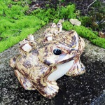 ���ھơ�10���ɤ���դ������ﵯʪ�Υ����롡ƫ�狼���롡�����餭�Ƥ� ��ka-0068��