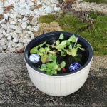 Ω���ۥ磻�ȿ�ȭ�����ھơ����ȭ�������ȭ�ˤ����ᡡƫ�凉�����ȭ�����ȭ�������ȭ��su-0249��