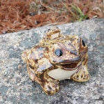 ���ھơ�6������������ﵯʪ�Υ����롡ƫ�狼���롡�����餭�Ƥ�������ʪ ��ka-0070��