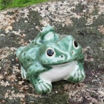 ���ھơ�4���ĳ����ﵯʪ�Υ����롡ƫ�狼���롡�����餭�Ƥ�������ʪ ��ka-0072��