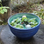 13��ʥޥ�����ȭ�����ھơ����ȭ�������ȭ�ˤ����ᡡƫ�凉�����ȭ�����ȭ�������ȭ��su-0252��