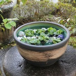 15��Ϥ��ܿ�ȭ�����ھơ����ȭ�������ȭ�ˤ����ᡡƫ�凉�����ȭ�����ȭ�������ȭ��su-0254��