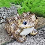 ���ھơ�20��5ɤ���դ������ﵯʪ�Υ����롡ƫ�狼���롡��ʪ����ka-0074��