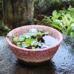 10������ѿ�ȭ ���ھ� ���ȭ �����ȭ�ˤ����� ƫ�凉�����ȭ ���ȭ �����ȭ ��������ȭ ��su-0258��