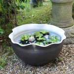 �������Ѽ�Ҥͤ��ȭ ���ھơ����ȭ�������ȭ�ˤ����ᡡƫ������ȭ���������ȭ����su-0266��