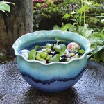 �ĥ��饹�ȷ�����ȭ ���ھơ����ȭ�������ȭ�ˤ����ᡡƫ������ȭ���������ȭ����su-0267��