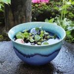 �ĥ��饹�ȥ����ȭ ���ھơ����ȭ�������ȭ�ˤ����ᡡƫ������ȭ���������ȭ����su-0268��