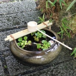 ���ھƤ����Ǥ��ӡ��ɥ��Ĥ��Ф�(�ݡ������դ�) ���������Ĥ��Ф������ȭ���ĥ��Х� ��tu-0026��