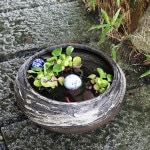 ���Ϥ��ܿ�ȭ�����ھơ����ȭ�������ȭ�ˤ����ᡡƫ������ȭ���������ȭ����su-0272��