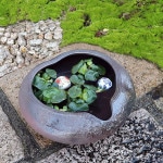 ��ȩ��ȭ�����ھơ����ȭ�������ȭ�ˤ����ᡡƫ������ȭ���������ȭ����su-0274��