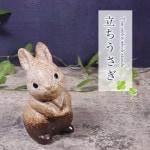 ھ  ʪ  襤 ƫ   ﵯʪ Ƥʪ ھƤ  ʪ İ ե ˤ ֤ʪ 5Ω ok-0090