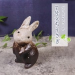 ھ  ʪ  襤 ƫ   ﵯʪ Ƥʪ ھƤ  ʪ İ ե ˤ ֤ʪ 7Ω ok-0092