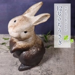 ھ  ʪ  襤 礭 ƫ   ﵯʪ Ƥʪ ھƤ  ʪ İ ե ˤ ֤ʪ 12Ω ok-0093