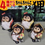 ���ھ� ���̤�  ���ھƤ��̤� �ﵯʪ�Υ��̥� ƫ�勵�̥� ���̤���ʪ �䤭��� �����餭�䤭 �Ƥ�ʪ ì ���̥� ����  raccoon dog ���������ì(�᥹) ta-0400