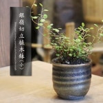 ���ھ� ����ȭ ƫ�� ������� ����ȭ �ե��ݥå� ���ܥƥ�ȭ ¿��ȭ �ץ�󥿡� �� ȭ���� �ߺ�ȭ ������ȭ ȭ �Ƥ�ʪ ���楷�꡼�� ������Ω����ȭ�ʾ��� sa-0332