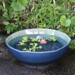 19���ĥ��饹ϻ�ѿ�ȭ�����ھơ����ȭ�������ȭ�ˤ����ᡡ�������ȭ����su-0289��