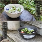 13���ȭ(�����С��ե�����) ��Ŵ�饤�����ؿ�ȭ ��������ܹ��ؿ�ȭ�����ھơ����ȭ�������ȭ�ˤ����ᡡ�������ȭ����su-0286��