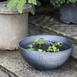 ���ھ� 14������ȩ�ѷ���ȭ su-0285