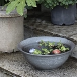 ���ھ� 14�������ѿ�ȭ su-0283