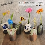 ���ھ� ���٤�6���� �ݤ�ʬ�������ޤ� ha-0224