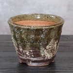 ȭ ȭȡĹͺھƤȭ Ť껳ȭ  ȭ ¿ʪ ܥƥȭ ¿ ʪ ڰʺȭ [sa-0338]