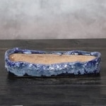 ȭȡĹͺھƤȭ Ť껳ȭ  ȭ ¿ʪ ܥƥȭ ¿ ʪ ڰʺȭ [sa-0359