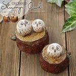 ھ դ ʪ ƫ ھ  ե  İ ƥꥢ Ŀ 㿧 Զϫ դ å ʪ 襤 ƥꥢ  Ļ ڤդ fu-0164