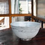 ���ھ� �ɤ�֤� Ч�֤� �顼���Ч �顼���ȭ 900ml �� ��ȭ �礭�� ������ ������� ƫ�� �Żҥ��/�������б� ���� �� �¿��� ���å��� ��ή��Ч�֤� w399-45