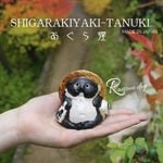 ���ھ� ���̤� ��ʪ ������ ƫ�� ������ ���� �İ��� �ץ쥼��� ���̥� ƫ�� �֤�ʪ �Ƥ�ʪ ���ھƤ� ì ���� 2�椢����ì ta-0441